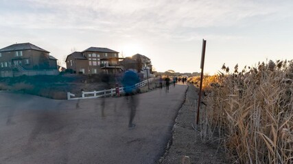Participants take place in a Thanksgiving marathon Turkey run along a nature trail - time lapse