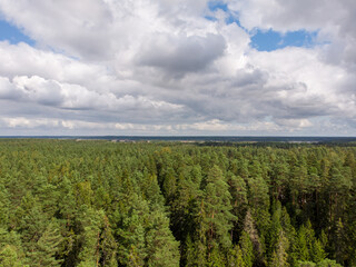 Fototapeta na wymiar Areal drone birds eye view of countryside pine forest trees and cloudy overcast sky.