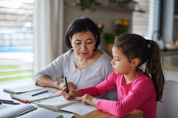 Small girl with grandmother doing homework indoors at home.