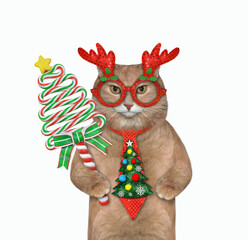 A reddish cat in a holiday tie and a mask with a lollipop for Christmas. White background. Isolated.