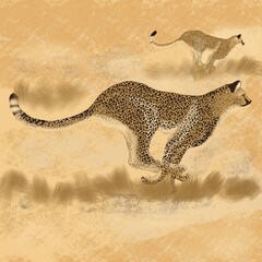 leopard in the sunset