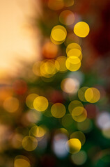 Christmas tree lights in defocus
