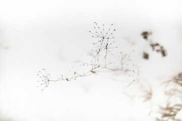 white snow falling down