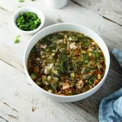 Traditional Russian cold soup with vegetables