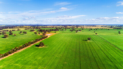 D Agri High Green plains © Taras Vyshnya