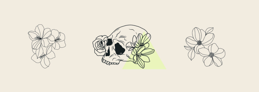Set of templates with linear drawing human skull, flowers. Botanical element.
