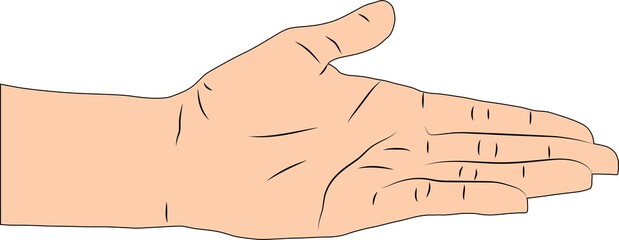 Vector illustration of a palm-up gesture. Hand palm facing up