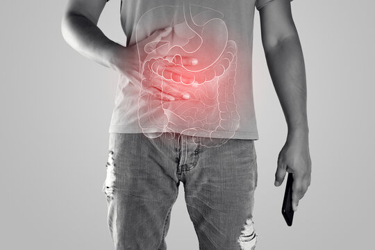 Illustration of internal organs is on the man body against the gray background. Peopel touching stomach painful suffering from enteritis. internal organs of the human body.