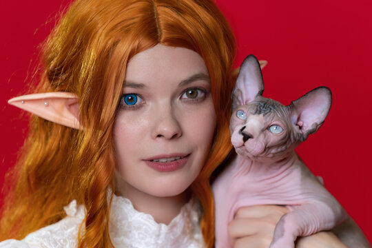 Portrait of ginger young woman cosplayer elf in white dress with expressive eyes of different colors, holding blue eyed Sphinx kitten. Elf with long curly hair looks at camera, smiles. Red background.
