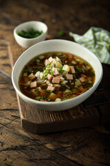 Traditional Russian cold soup with vegetables