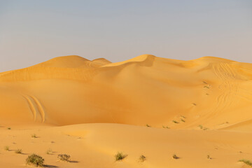 Fototapeta na wymiar Orange sands desert resort in the Empty Quarter (Rub' al Khali) area of Abu Dhabi, United Arab Emirates