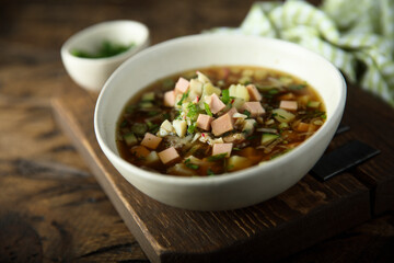 Traditional Russian cold soup with vegetables