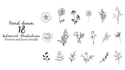 Hand drawn botanical flowers and leaves. Hand sketched vector vintage elements for wedding decorations, birthday,social media and more.