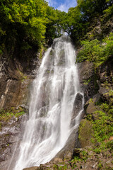 Fototapeta premium Makhuntseti waterfall, one of the highest waterfalls in Ajara. Point in a Acharistsqali river, where water flows over a vertical drop or a series of steep drops