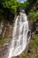 Obraz premium Makhuntseti waterfall, one of the highest waterfalls in Ajara. Point in a Acharistsqali river, where water flows over a vertical drop or a series of steep drops