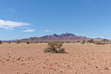 Fototapeta na wymiar Im Namib Naukluft Park