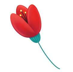 illustration of minimalist style tulip with bright red petals and green stem isolated on white background