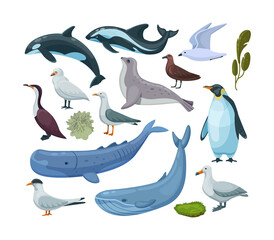 Fauna and flora of Antarctica set. Antarctic animals, birds, nautical mammals, plants