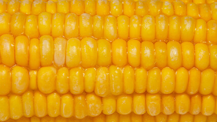 Tasty corn macro texrure bacground natural vegetables