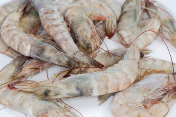 Frozen king prawns close-up in selective focus