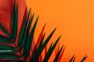 Red and orange color background with tropical palm leaf shadow. Two trend pastel paper and exotic green plant layout. Minimal flat lay.