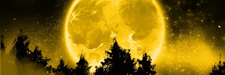 Landscape of northern forest with yellow full moon in starry night	