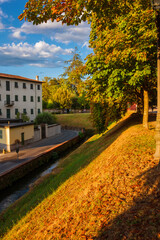 The Walls of Lucca public park with horse chestnut autumnal leaves