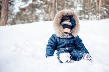 Fototapeta na wymiar Portrait of child sitting in snow in spruce forest. Little kid boy having fun outdoors in winter nature. Christmas holiday. Cute toddler boy in blue overalls and knitted scarf and cap walking in park.