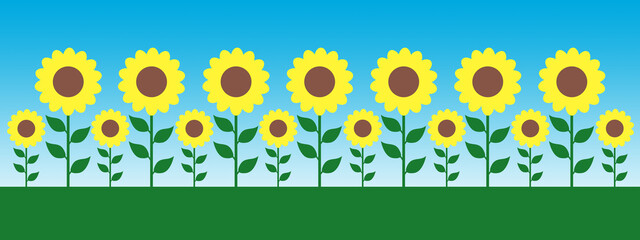 Illustration of a row of yellow sunflowers in a field against a blue sky background with space for text