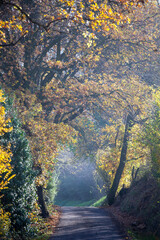 tourist routes on the hills of modena and bologna savignano and montebudello