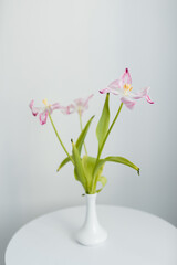 Three pink tulips in a white vase on a white round table
