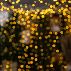 Fototapeta na wymiar Blurred multicolored lights of a garland and branches of a Christmas tree in the foreground.Christmas and New Year background.Selective focus,copy space.