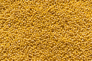 Yellow millet background. Top view