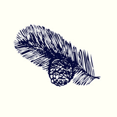 Pine branch, needles and cone. Ink black and white doodle drawing in woodcut style.