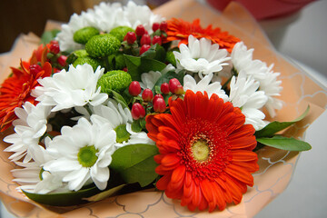 Festive bouquet of white and red chrysanthemums, close-up.