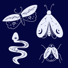 celestical magic animals decorative vector logo set. Moth wildlife, snake symbol, tattoo graphic shape design, ethnic sketch.