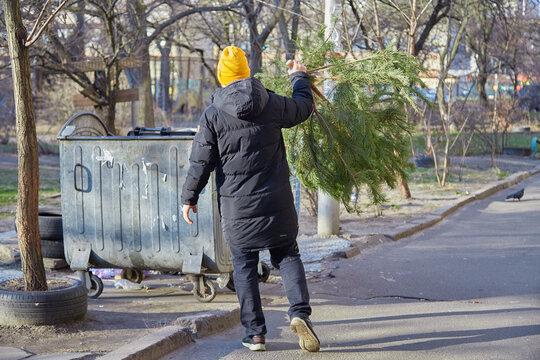 A man after the holiday throws a Christmas tree into the trash can