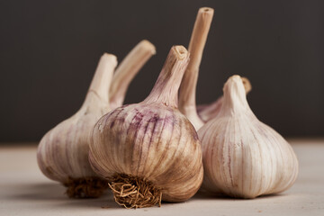 Garlic heads in closeup