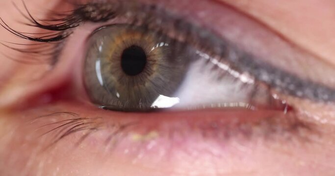 Closeup of woman green eye with permanent makeup 4k movie slow motion