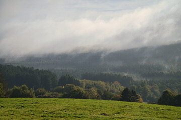 Fog that moves over the forest. Autumn mood in the Saarland. - obrazy, fototapety, plakaty