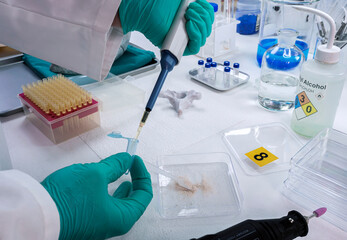 Forensic scientist deposits vertebral bone sample from human skeleton for murder investigation in...