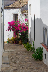 bonita calle del municipio de castellar de la frontera en la provincia de Cádiz, Andalucía