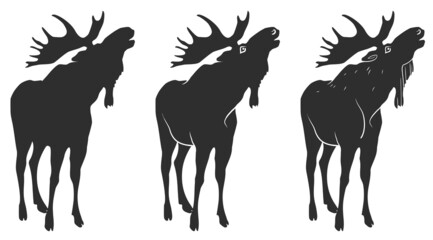 A set of drawings of moose for your design. Vector illustration, isolated object 