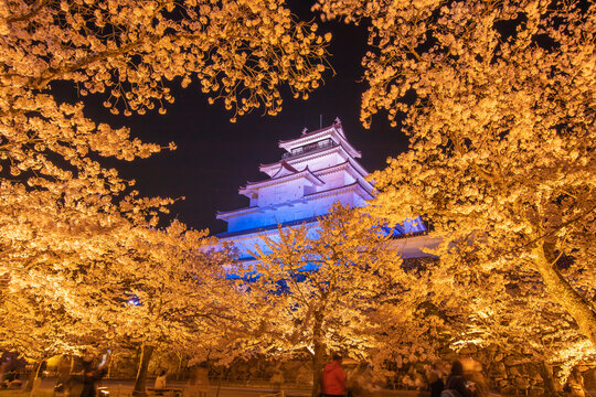 福島県　春の鶴ヶ城　ライトアップ　
