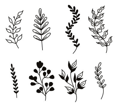 Plant branches with leaves, natural natural elements on a white background, silhouettes, line art, doodle. Bocho chic style. Plant clip art. 
