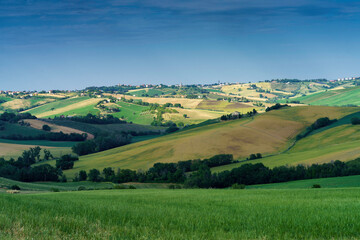 Rural landscape near Ostra Vetere and Cingoli, Marche, Italy