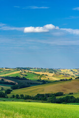 Rural landscape near Ostra Vetere and Cingoli, Marche, Italy