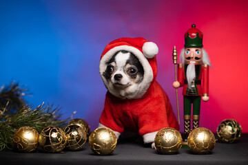 Little Santa is ready for Christmas