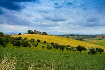 Rural landscape near Santa Maria Nuova and Osimo, Marche, Italy