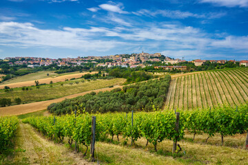 View of Camerano, Ancona province, and vineyards